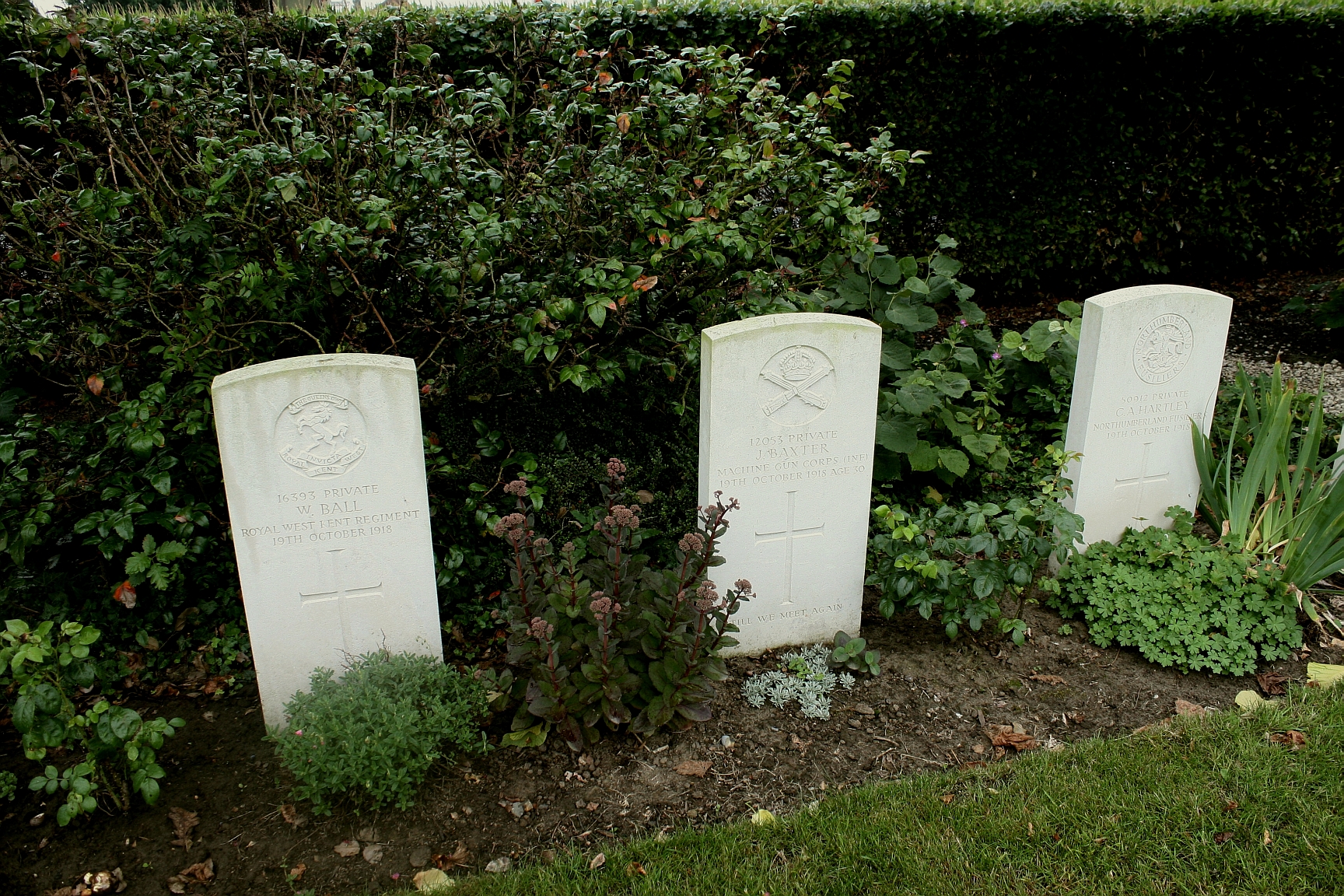 three white gravestones with plants in front . Charles's grave is on the far right