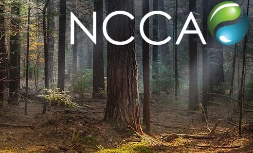 Newmillerdam Community & Conservation Association