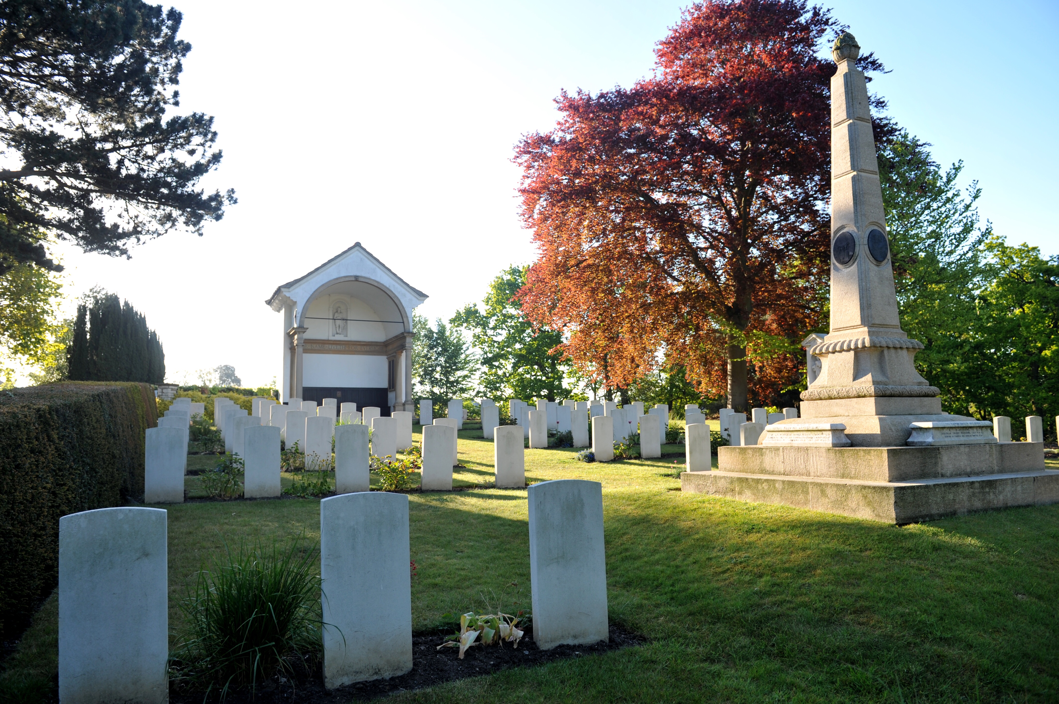 white crosses line the side of the hill with the white cross of sacrifice prominent on the right hand side. trees are on either side